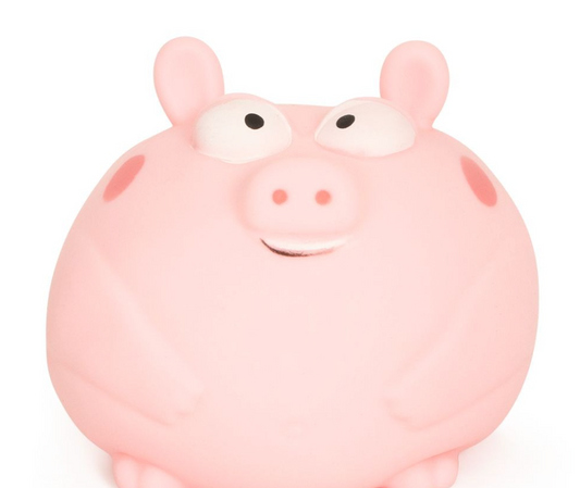 The Big Squij Pig Slow-Rise Squishy Toy